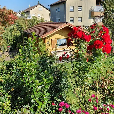 Appartement Wutachtal *